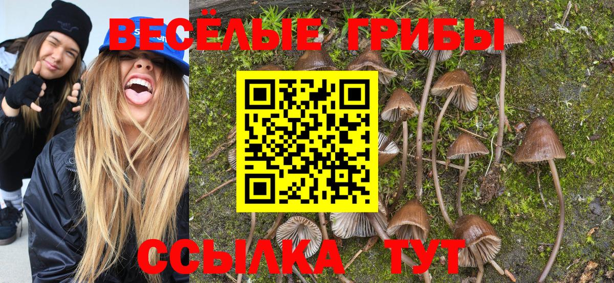 Кандалакша  Псилоцибиновые грибы ЛСД  Вход с VPN 
